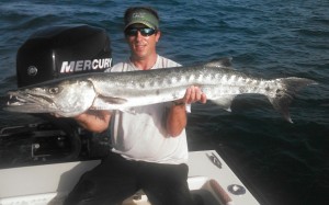 barracuda