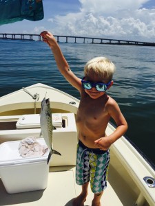 kid mackerel