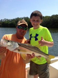 Snook caught in the waters of Tampa Bay
