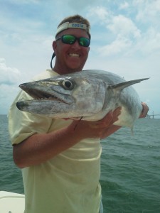 Kingfish teeth up close